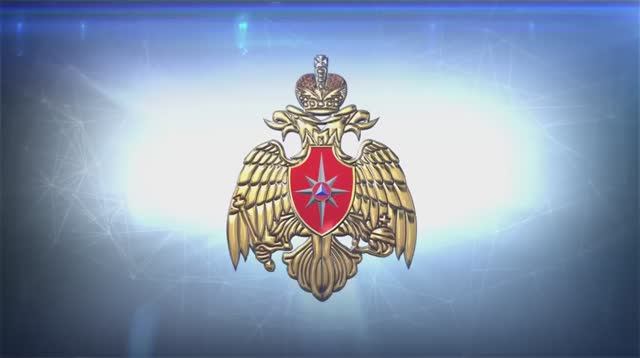 Семьи МЧС России_ истории знакомства. ГУ МЧС по Санкт-Петербургу. День семьи, любви и верности смотреть онлайн