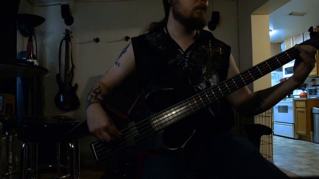 Prince & The Revolution - Purple Rain (Bass Cover) смотреть онлайн