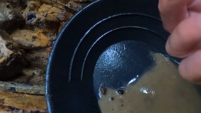 Testing for Gold in a New Creek | Gold Pan & SDC 2300 смотреть онлайн