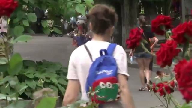 Фитосанитарный контроль в Ростовском-на-Дону зоопарке смотреть онлайн