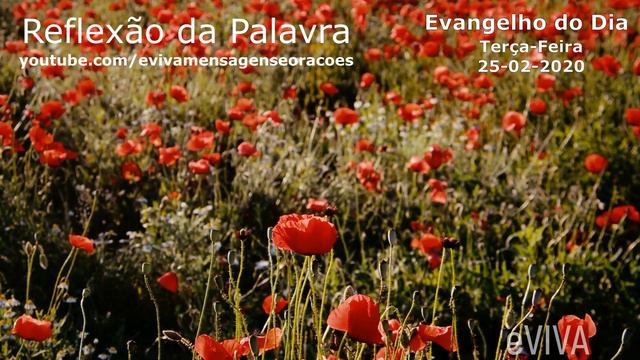 EVANGELHO DO DIA 25/02/2020 Narrado e Comentado - LITURGIA DIÁRIA - HOMILIA DIARIA HOJE смотреть онлайн