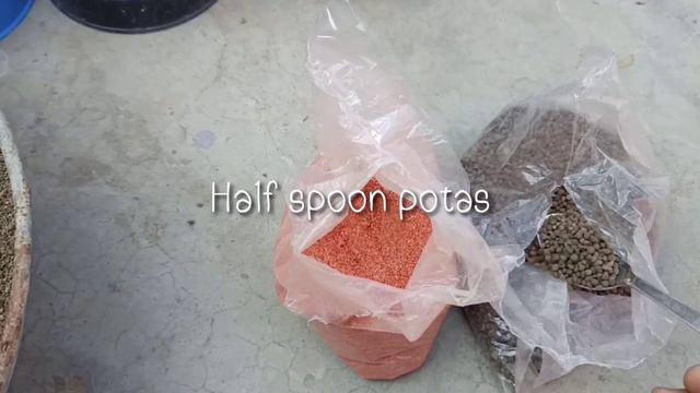 Primrose care and How to prepare poting mix.∆ INVALUABLE GREENERY ∆. #gardeing #baby_plant смотреть онлайн