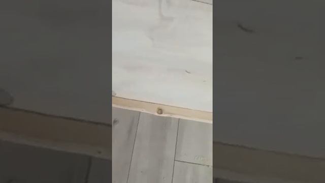@ плинтуса из горбыль смотреть онлайн