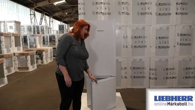 Liebherr CU281 | Alulfagyasztós hűtőszekrény bemutató videó смотреть онлайн
