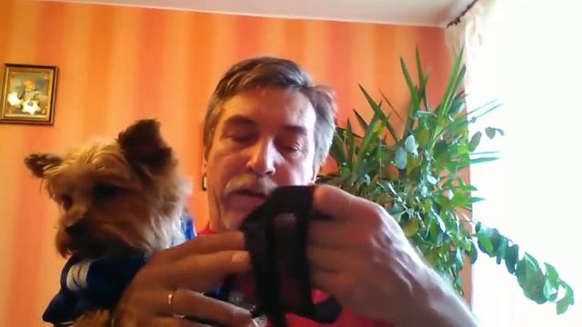 Шлейка для собак из Китая смотреть онлайн