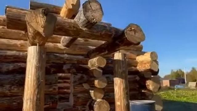 Видео от нашего заказчика ! Обзор сруба в диком стиле минимальным диаметром 40см ! смотреть онлайн