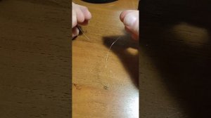 Простой поводок из лески для ловли щуки.