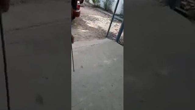 TULSI PLANT CONVERT NEGATIVE ENERGY ZONE INTO A POSITIVE ENERGY ZONE WITHPROOF2021YOUMUSTWATCH смотреть онлайн