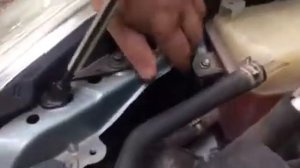 Тайота приус 30, замена лапочек в фарах.