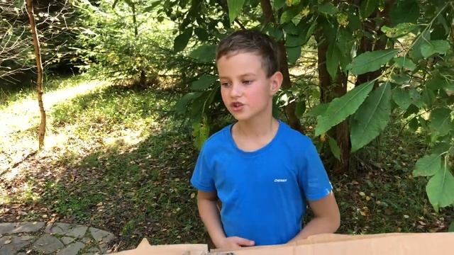 осиное гнездо смотреть онлайн