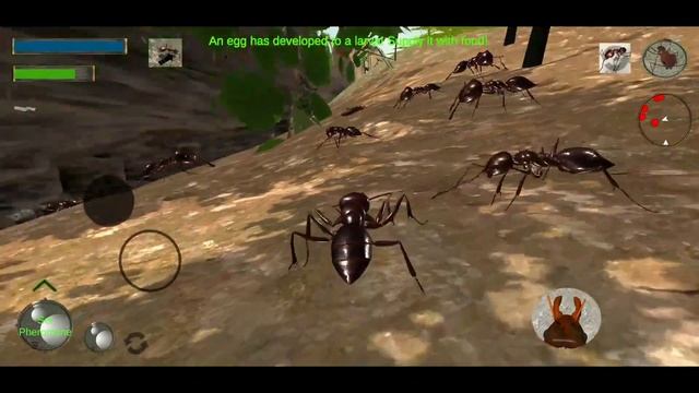 Ant Simulation 3D - Life Of Ants - Camponotus - Gameplay Part 1 смотреть онлайн