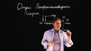 Жизненный цикл Плаунов