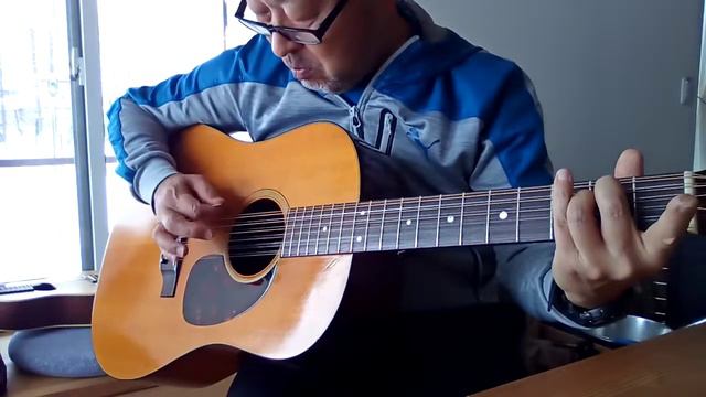 12弦アコースティックギター試奏　Martin D-12-20 1970 смотреть онлайн
