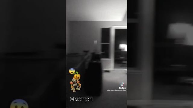 смайл дог и смайл пжп смотреть онлайн