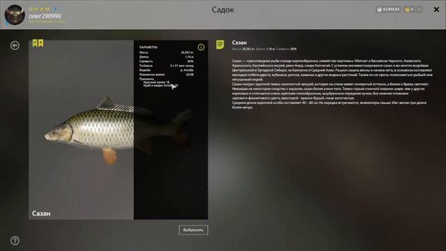 Русская рыбалка 4. Russian fishing 4. Сазан (прилов стерлядь) смотреть онлайн