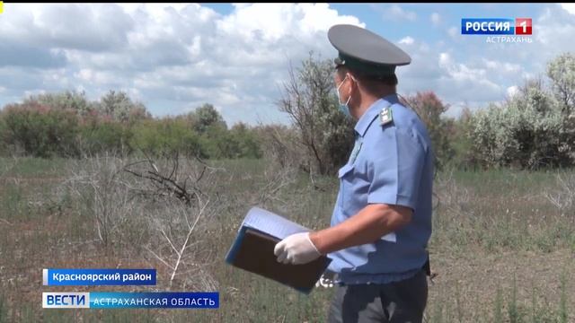 Инспекторы Россельхознадзора выявили земучасток, заросший древесно кустарниковой.mp4 смотреть онлайн