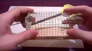 Мышеловка клетка ловушка