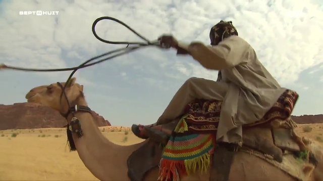 Sept A Huit - L'oasis