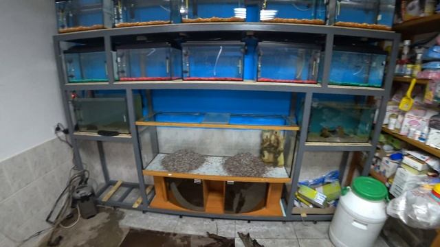 Аквариумный стенд на 13 аквариумов своими руками. Заливаем воду и устанавливаем оборудование смотреть онлайн