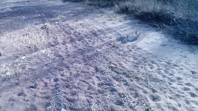 Батарейная бухта. Мыс Каменнный. Озеро над морем. смотреть онлайн