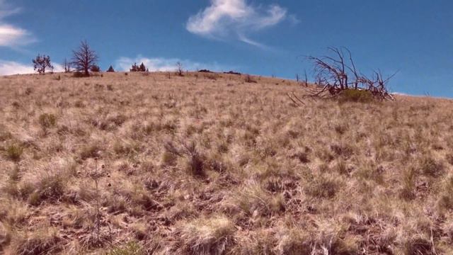 Sutton Mountain: A Visit to Oregon's Hidden Paradise смотреть онлайн