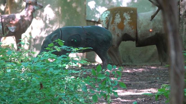 Adams Archery 3D Archery range - Deer season prep 2019 EP 2 смотреть онлайн