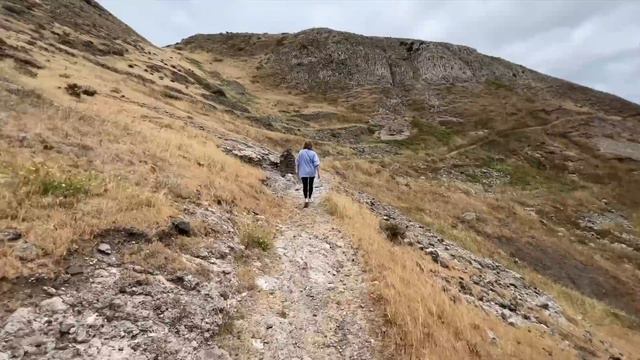 ОГРОМНЫЕ ТАРАКАНЫ У НАС В НОМЕРЕ! ОТЕЛЬ 5 ЗВЕЗД - 200 ЕВРО В СУТКИ ЗА ЧТОООО?? смотреть онлайн