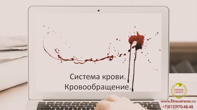 Обучающий курс "Инструктор тренажерного зала. Секреты мастерства" от Колледжа Фитнеса смотреть онлайн