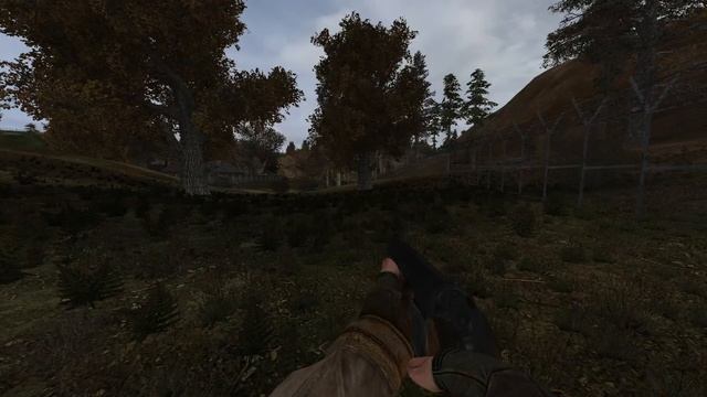 Прохождение игры Сталкер сос by stason 174 v 6.03.История сталкера муравья смотреть онлайн