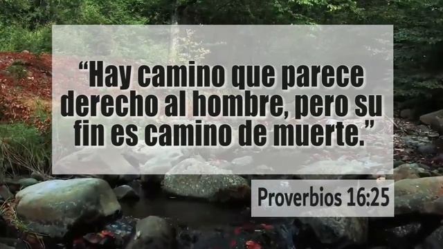 Proverbios 16:25 смотреть онлайн