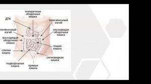 О работе ЖКТ. Запись вебинра с Владимиром Чикуновым.mp4