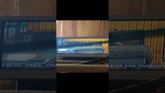 Бегущая строка на канале ТВ3 смотреть онлайн