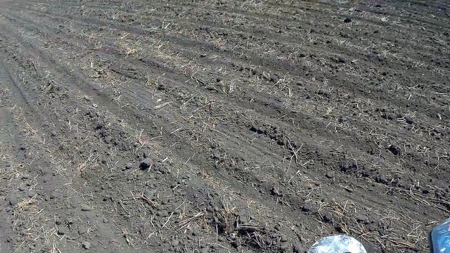 Minelab Equinox!?! Мои первые находки!!!