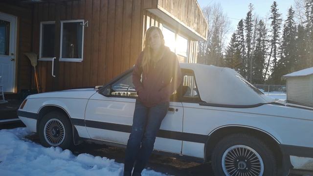 Issues with both lilo and stitch. 1986 and 81 Mustangs. смотреть онлайн
