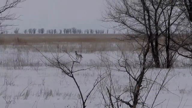 НАГОНКА смотреть онлайн