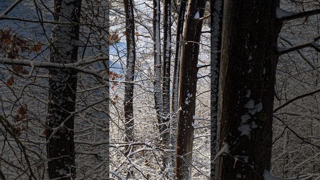 448❤️ Сон 20.01.2024 Наставление от Господа для Церкви Иисуса Христа