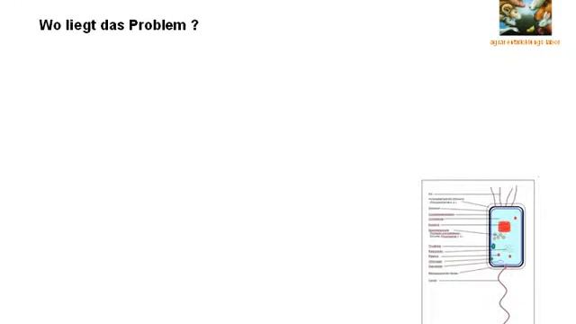 Desinfektion смотреть онлайн