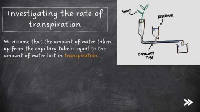 EASY REVISION AQA A-Level Biology 3.3.4.2 Mass transport in plants смотреть онлайн
