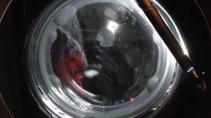 LG AiDD Steam Washer, Speed14 with 800 spin (Requested)