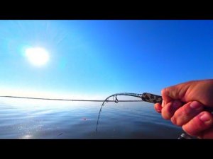 ЛОВЛЯ СОМА НА КВОК !!! ОТКРЫТИЕ ! РЫБАЛКА НА СОМА!