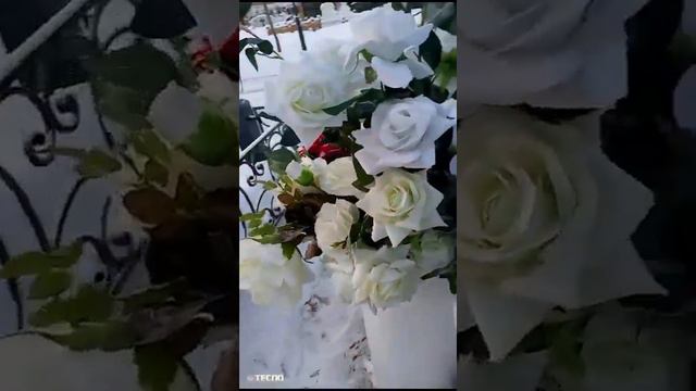7 января 2024 г. смотреть онлайн