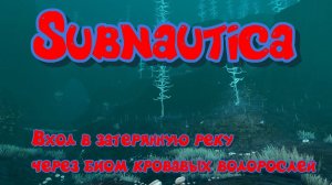 Subnautica. Вход в затерянную реку с зоны Кровавых Водорослей. Затерянная река вход.