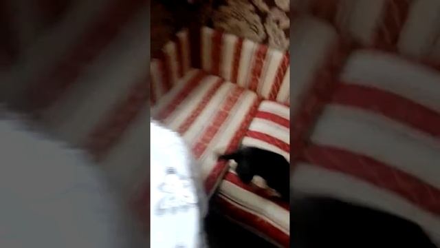 Где покататься на лыжах смотреть онлайн