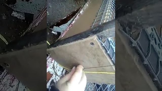 Живоловушка для хорька, норки, ласки.... смотреть онлайн
