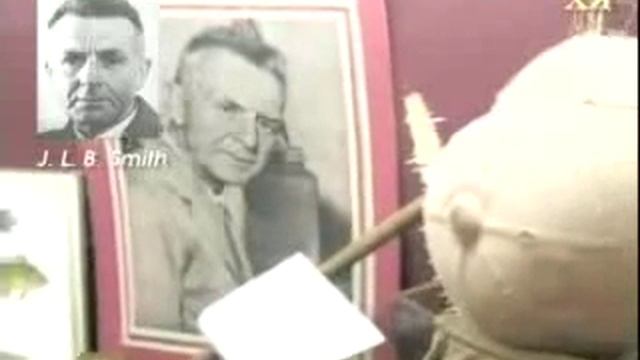 Рыба Целакант смотреть онлайн