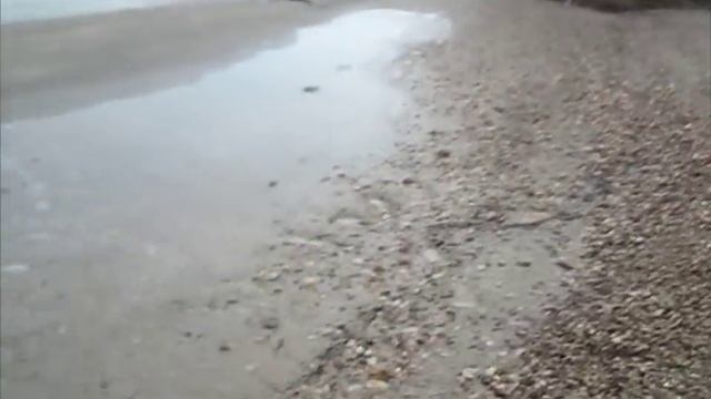 Шикарные находки перед затоплением водохранилища. смотреть онлайн