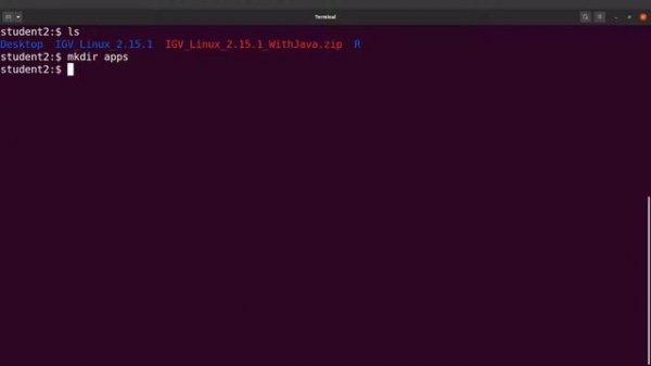 IGV Installation in Linux for Bioinformatics