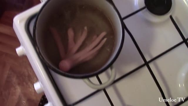 Лесные Приключения