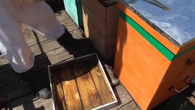 Расширение многокорпусного улья третьим корпусом. смотреть онлайн