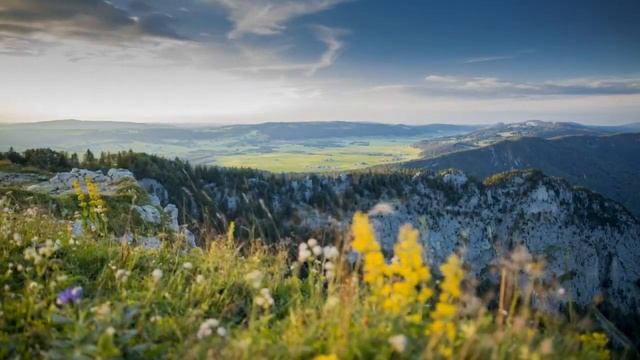 Relax Music With Acoustic Guitar. Sleep Music, Stress Relief, Music For Studying, Concentration